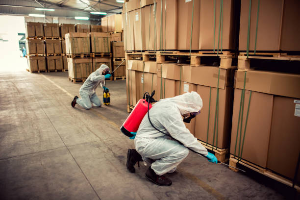 Best Rat Extermination Near Me  in Albion, IL