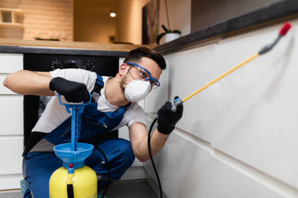 Best Pest Control Near Me  in Albion, IL