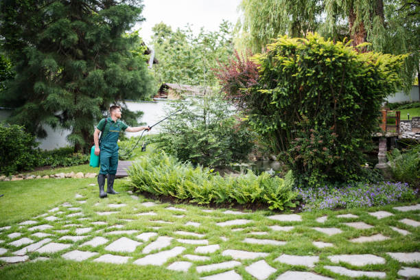 Professional Pest Control in Albion, IL