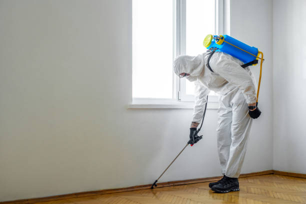 Best Pest Control for Homes  in Albion, IL