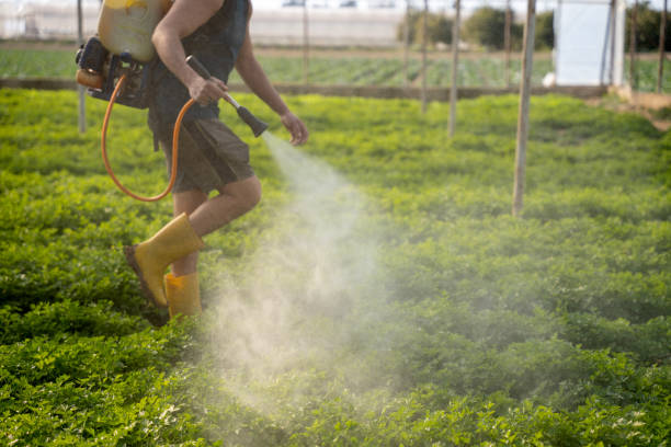 Best Mosquito Control Services  in Albion, IL