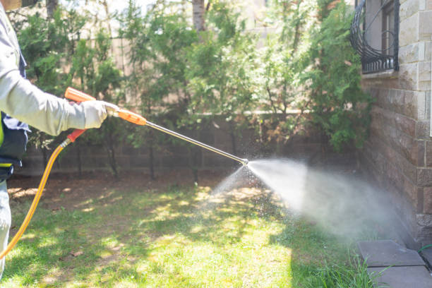 Best Spider Control Near Me  in Albion, IL