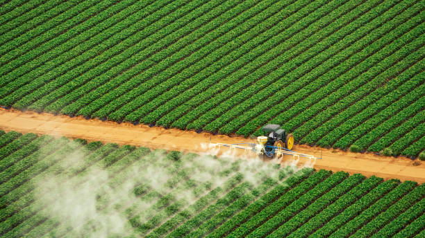 Best Ant Control Services  in Albion, IL
