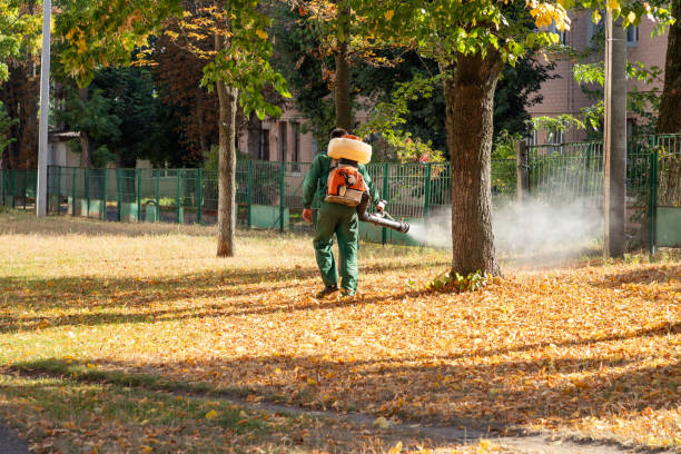 Best Termite Control Services  in Albion, IL