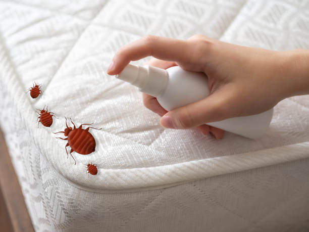 Reliable Albion, IL Pest Control Solutions