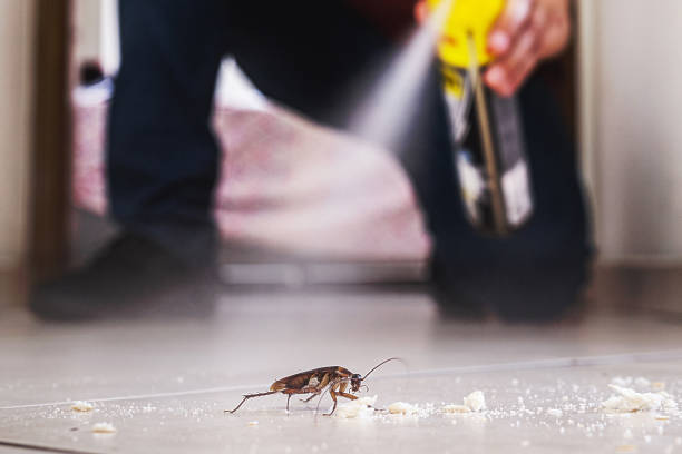 Best Pest Prevention Services  in Albion, IL