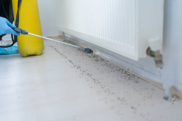 Best Bed Bug Extermination  in Albion, IL