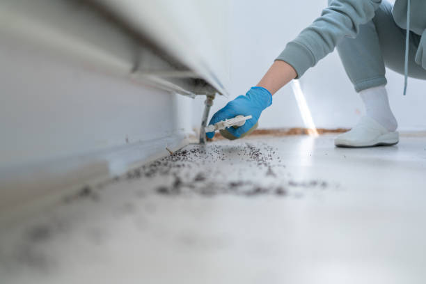 Best Pest Control Cost  in Albion, IL